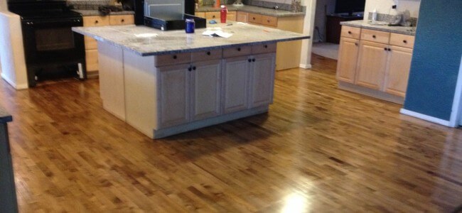 Maple Hardwood Floor Refinish